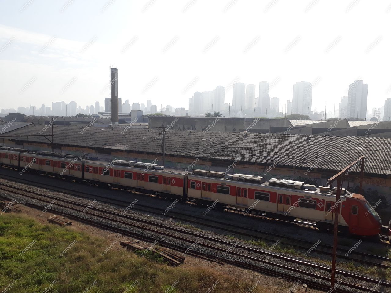 São Paulo, São Paulo, trem vermelho e branco estacionado com edifícios altos ao fundo em luz suave da manhã