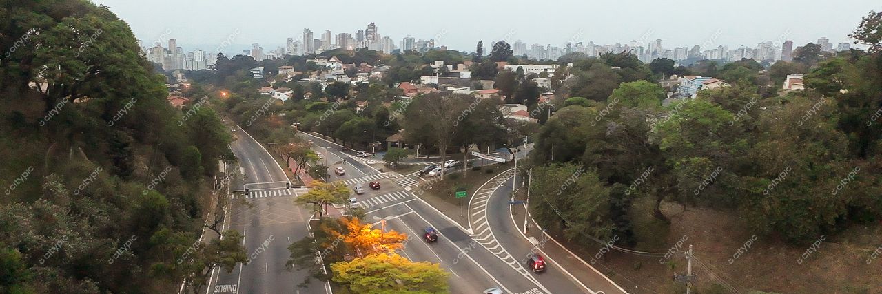 São Paulo, São Paulo, vista panorâmica ao entardecer com edifícios ao fundo e ruas arborizadas em primeiro plano