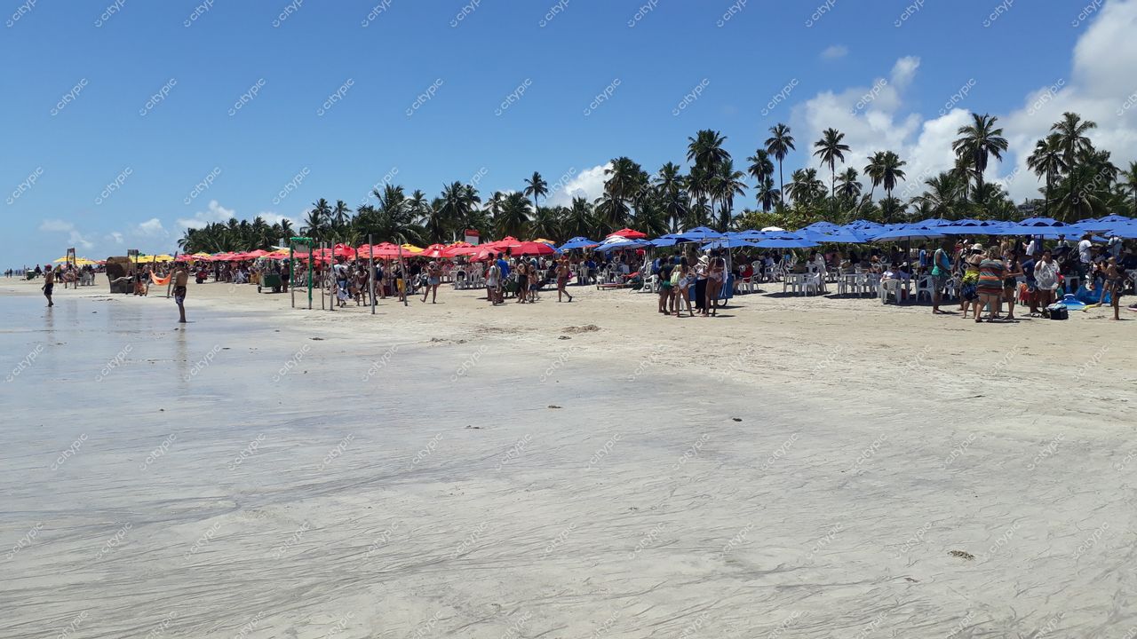 Maragogi, Alagoas com pessoas sob guarda-sóis vermelhos e azuis em dia ensolarado e maré baixa