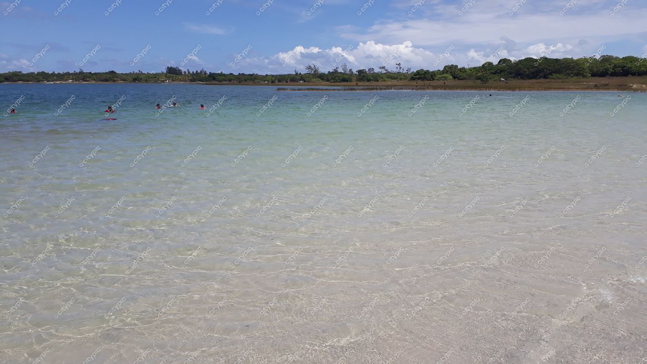 Nísia Floresta, Rio Grande do Norte, praia tranquila com água esverdeada e vegetação densa sob céu azul claro
