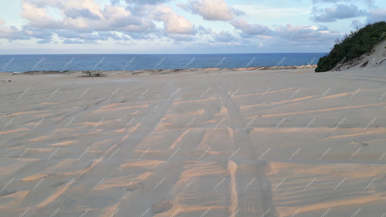 Nísia Floresta, Rio Grande do Norte, praia ao entardecer com marcas de veículos na areia e vegetação preservada