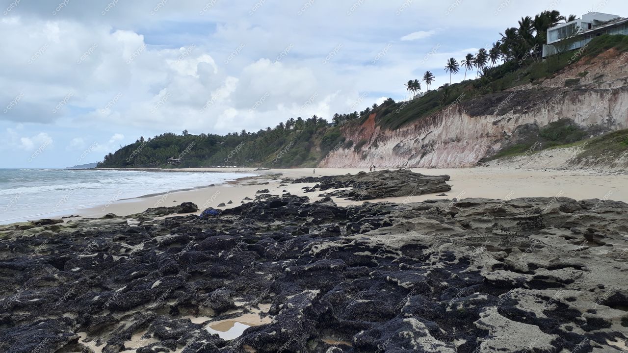 Tibau do Sul, Rio Grande do Norte com praia extensa, formações rochosas e vegetação exuberante sob luz diurna