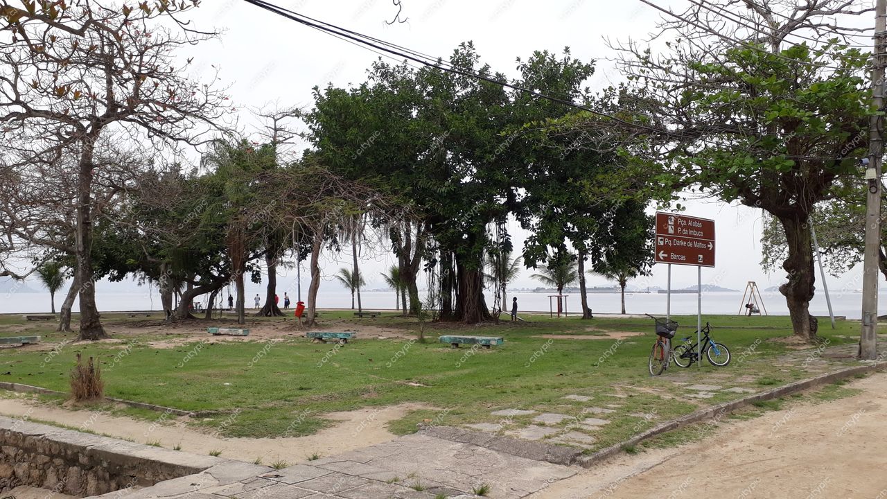 Ilha de Paquetá, Rio de Janeiro com vegetação densa, céu nublado e bicicletas estacionadas em área verde ampla
