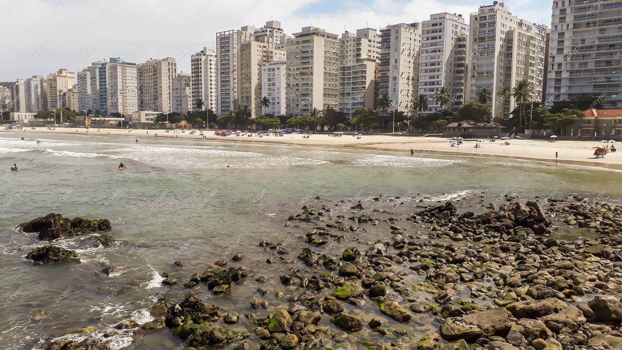 Guarujá, São Paulo vista da praia com arranha-céus ao fundo e vegetação de palmeiras em dia claro