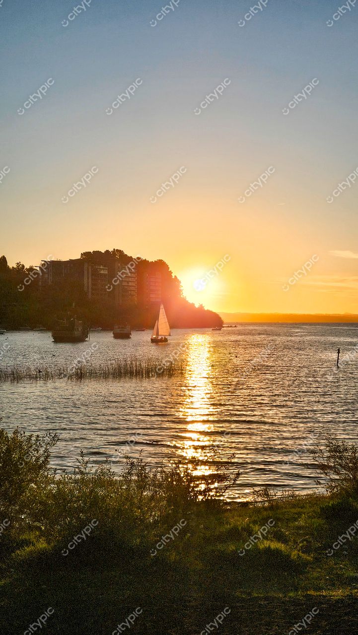 Pôr do sol sereno sobre corpo d’água com barcos ancorados e vegetação baixa em primeiro plano