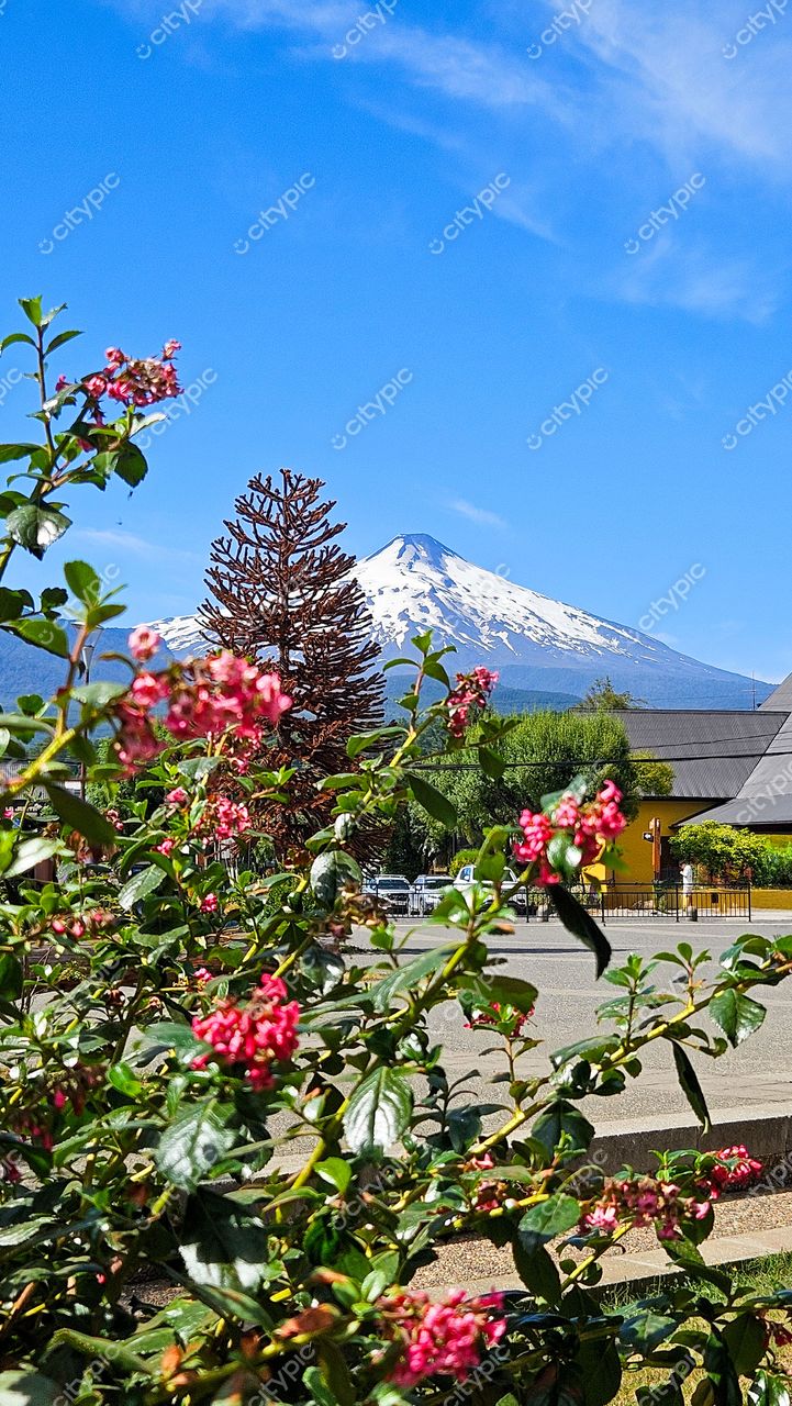 Vulcão coberto de neve ao fundo com vegetação vibrante e edifício neutro em cenário diurno claro