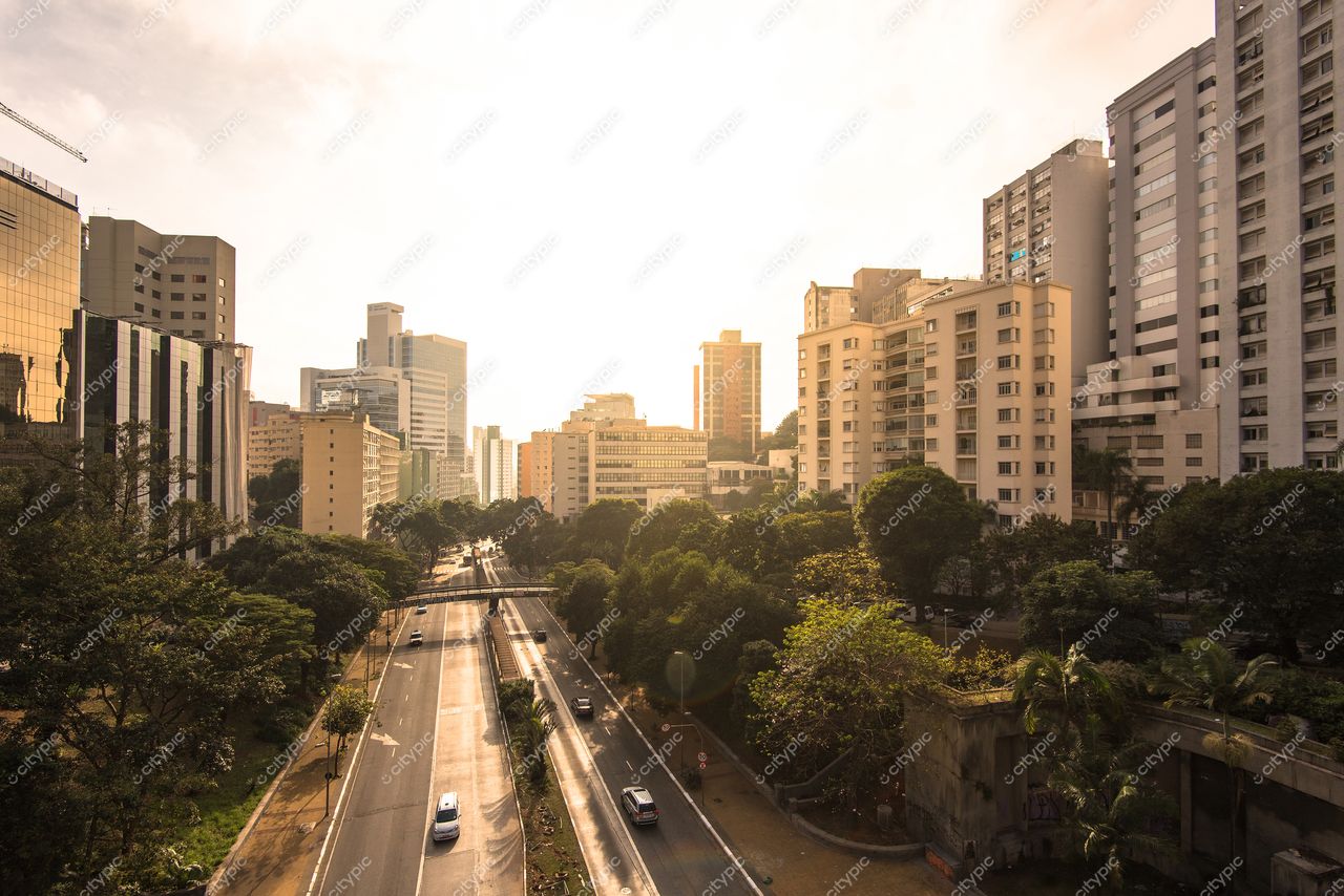 São Paulo, São Paulo, vista urbana ao entardecer com arranha-céus, vegetação e tráfego leve nas ruas
