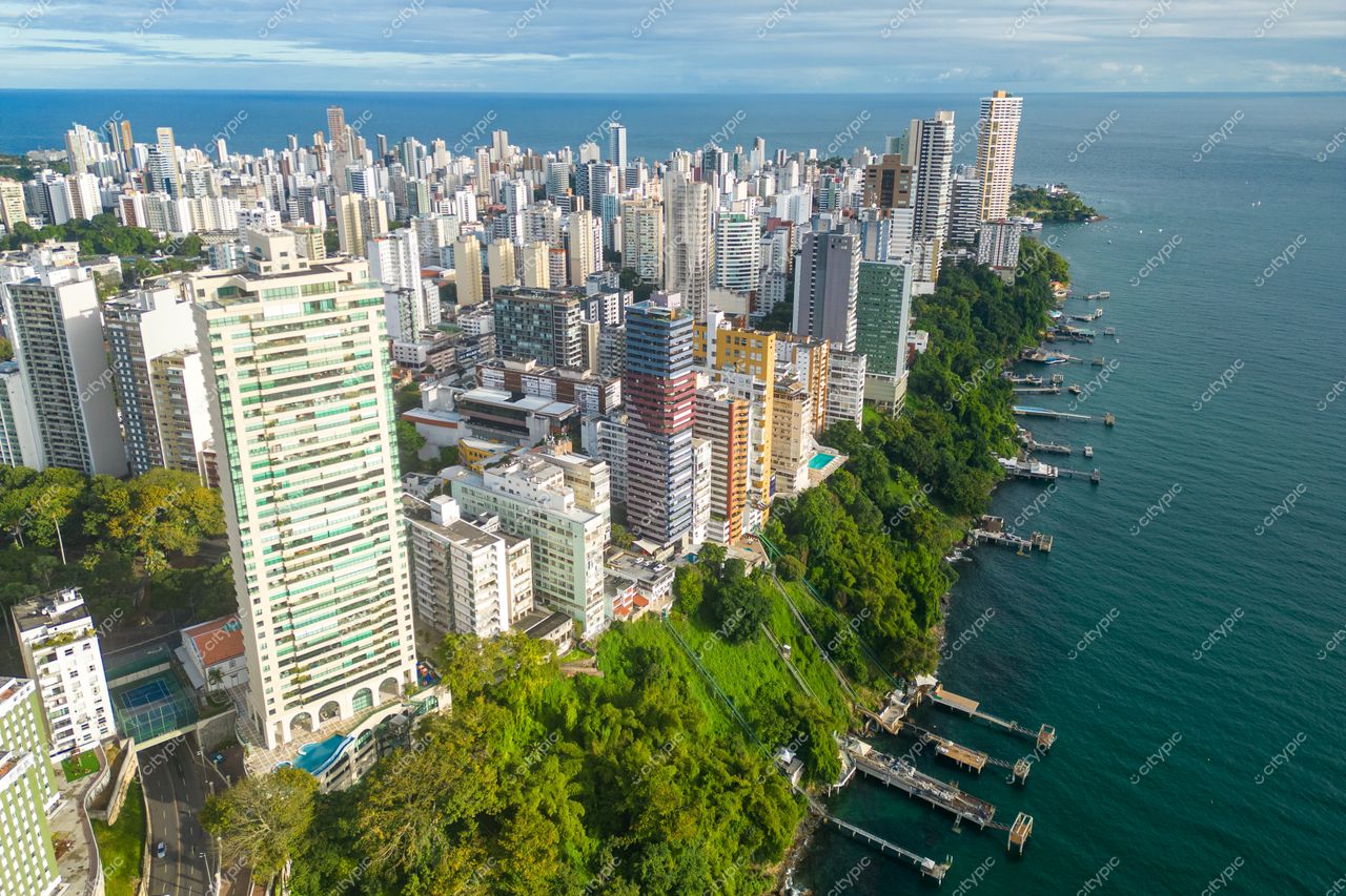 Salvador, Bahia vista aérea com arranha-céus e vegetação densa sob céu claro e relevo suave em contraste
