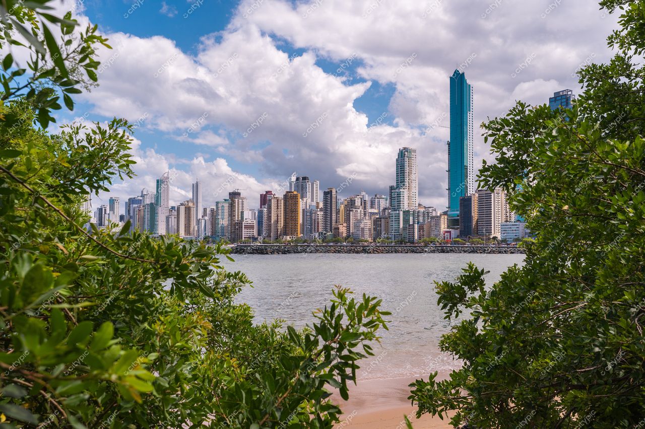 Balneário Camboriú, Santa Catarina, vista do skyline com arranha-céus e vegetação costeira sob céu nublado