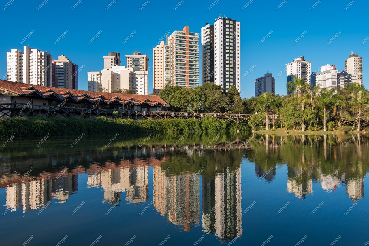 Curitiba, Paraná vista urbana com prédios modernos refletidos em lago calmo e vegetação à beira d’água