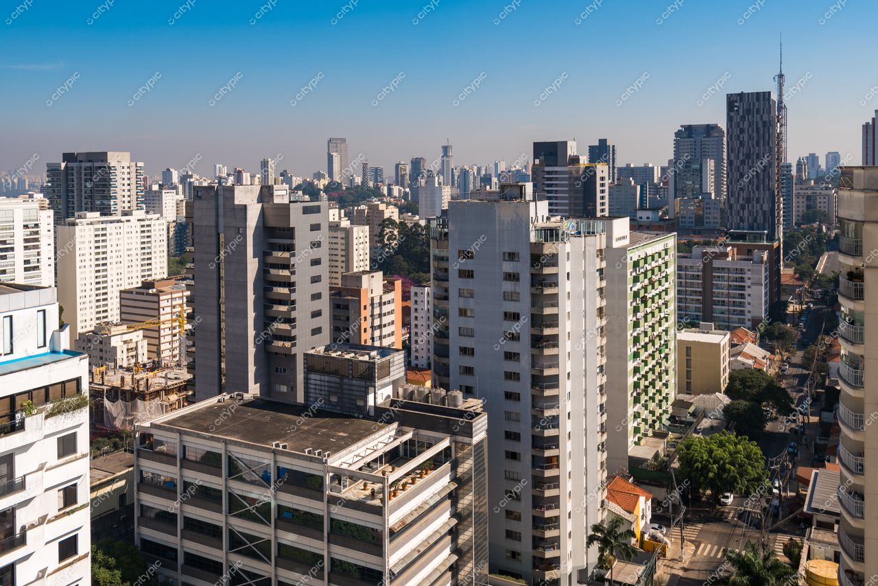 São Paulo, São Paulo, vista panorâmica da cidade com arranha-céus e áreas verdes em manhã ensolarada