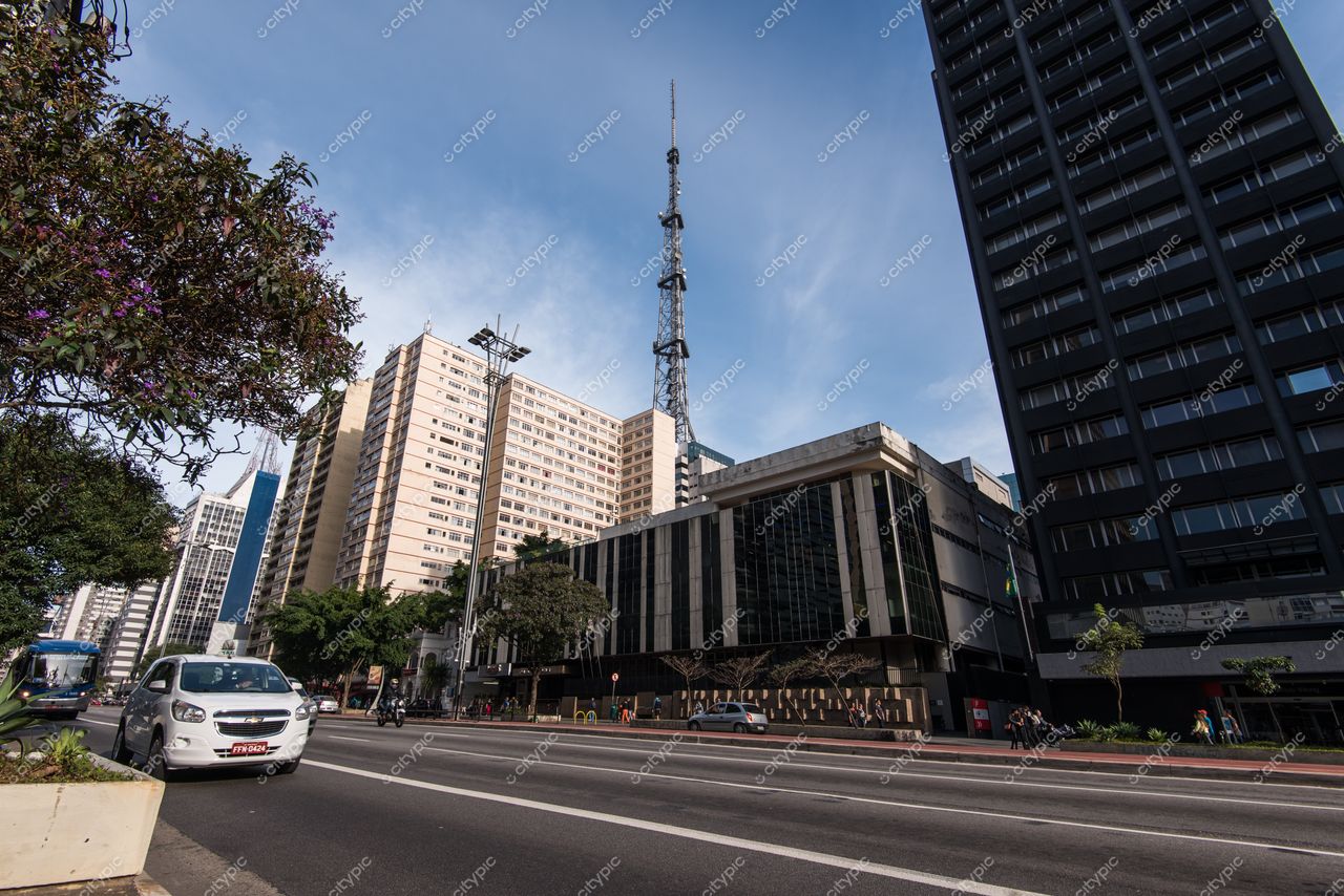 São Paulo, São Paulo, vista urbana com prédios altos, torre de transmissão ao fundo e vegetação nas calçadas