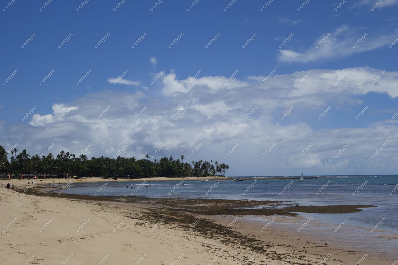 Mata de São João, Bahia praia com areia clara e fina, mar azul e verde, vegetação tropical densa ao fundo
