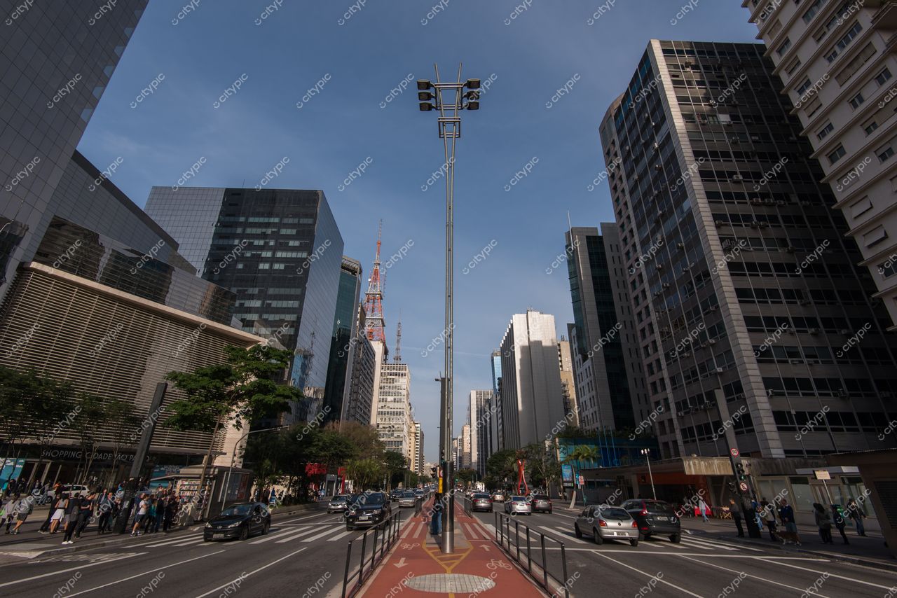 São Paulo, São Paulo, vista diurna da Avenida Paulista com ciclovia vermelha e arranha-céus ao fundo