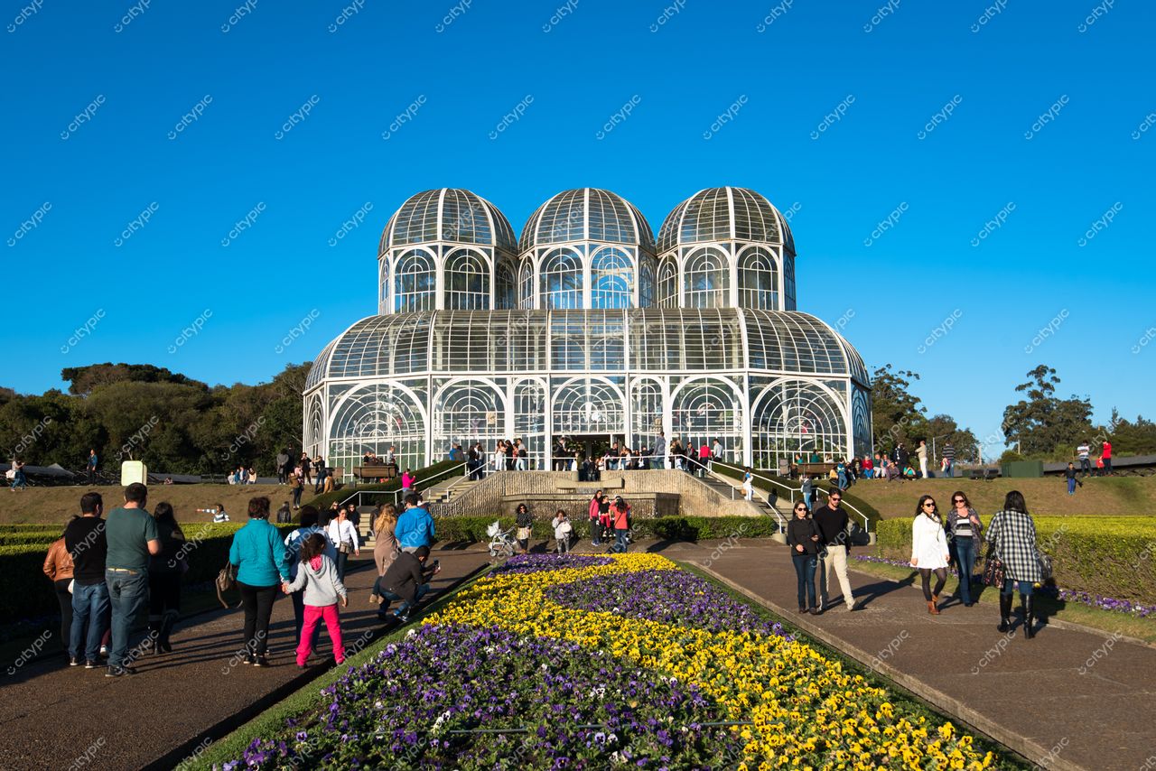 Curitiba, Paraná, Jardim Botânico em dia ensolarado com estufa de vidro e visitantes entre flores amarelas e roxas