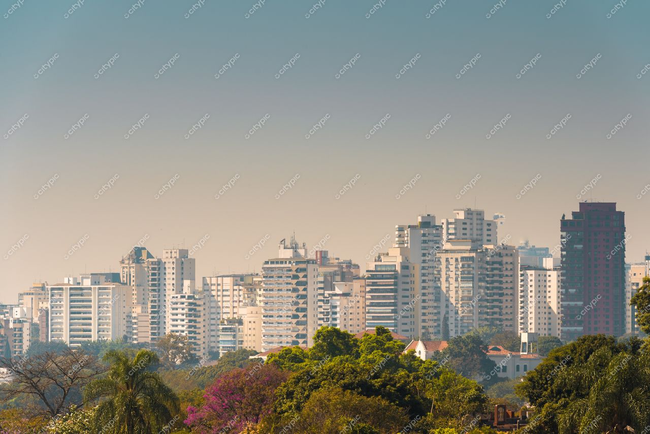 São Paulo, São Paulo, vista panorâmica do skyline com edifícios modernos e vegetação sob luz suave da manhã