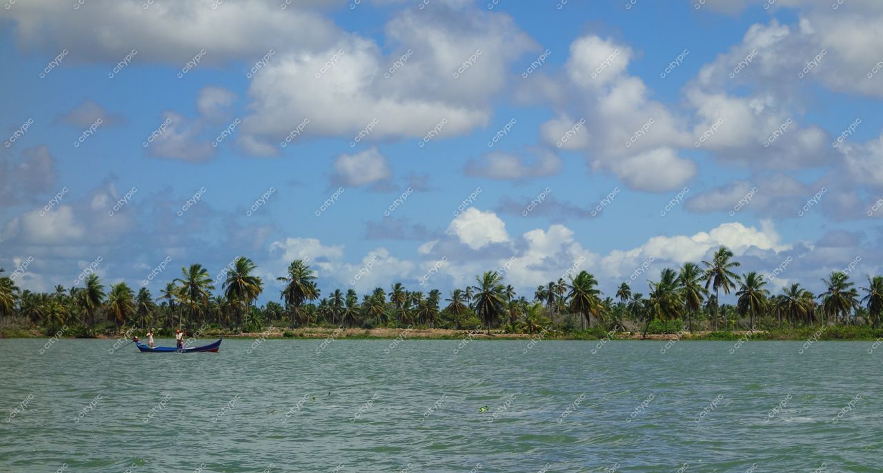 Brejo Grande, Sergipe com barco à vela em águas calmas e palmeiras sob céu azul e nuvens brancas