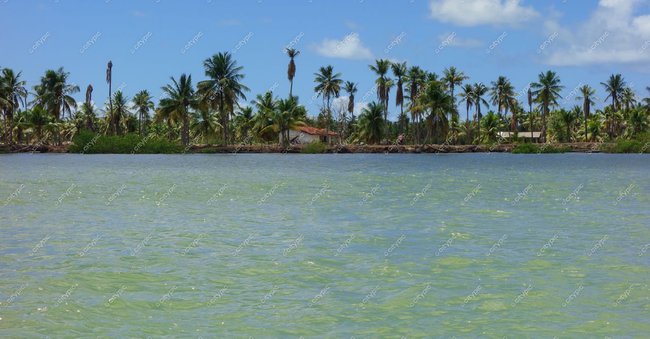 Brejo Grande, Sergipe vista serena da costa com palmeiras e construções simples sob céu azul claro