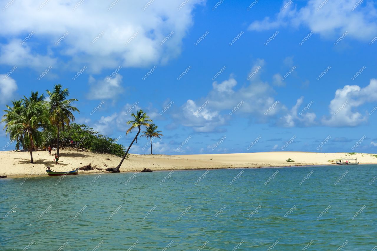 Brejo Grande, Sergipe com faixa de areia dourada, barco ancorado e palmeiras em dia ensolarado e tranquilo