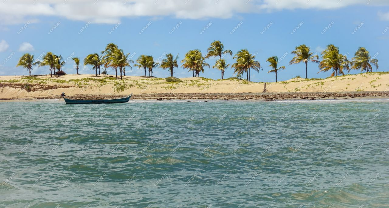 Brejo Grande, Sergipe, barco de madeira ancorado em águas calmas com palmeiras e céu ensolarado ao fundo
