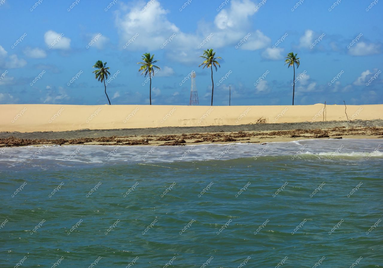 Brejo Grande, Sergipe vista da praia com céu claro, palmeiras, duna arenosa e sinal de telecomunicações ao fundo