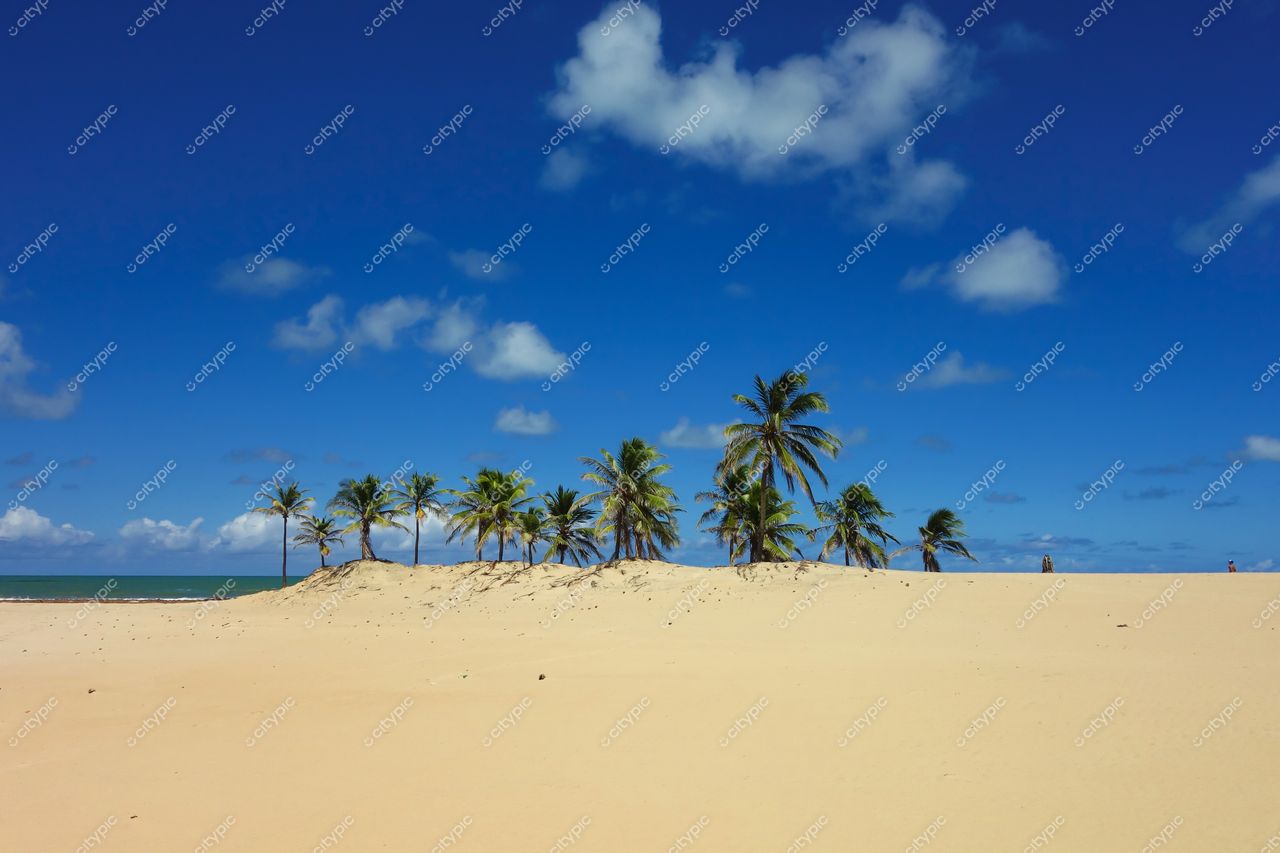 Brejo Grande, Sergipe, praia tranquila com areias claras, palmeiras ao fundo e céu azul iluminado por nuvens brancas