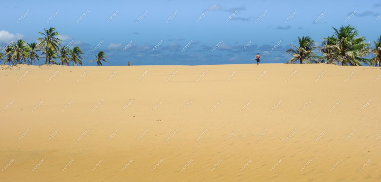 Brejo Grande, Sergipe, vasto deserto de areia dourada com palmeiras e pessoas sob céu azul claro durante o dia