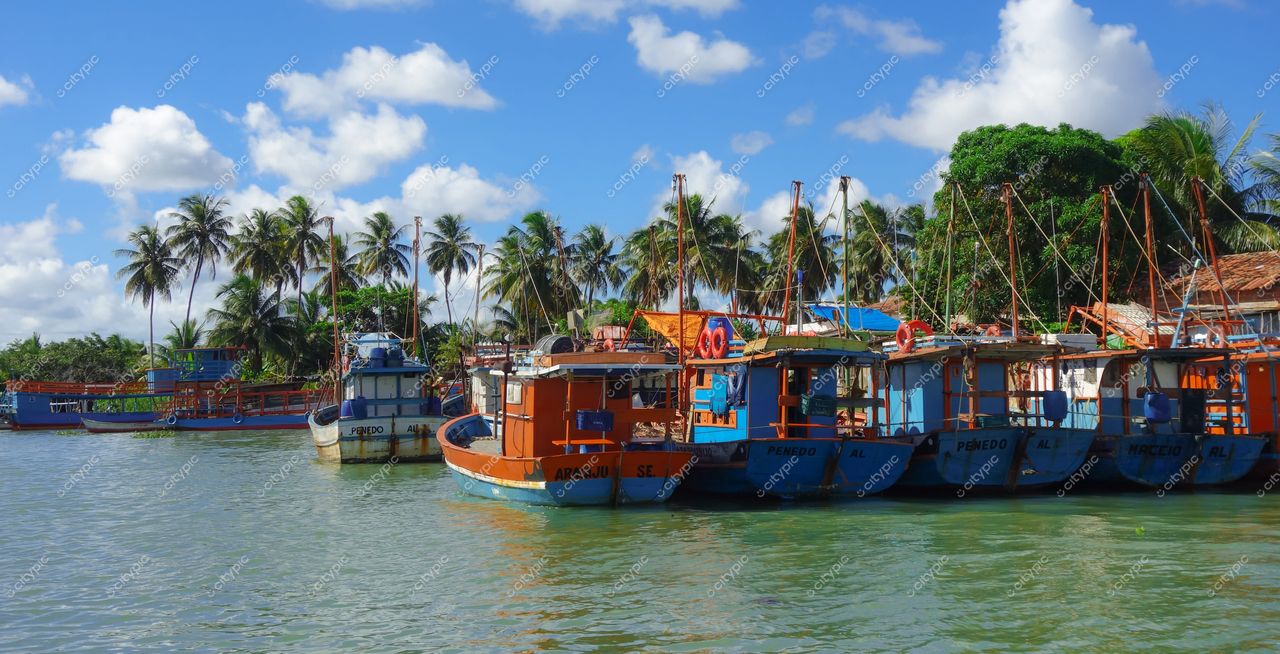 Brejo Grande, Sergipe, embarcações de pesca coloridas à margem de rio calmo em dia ensolarado com palmeiras