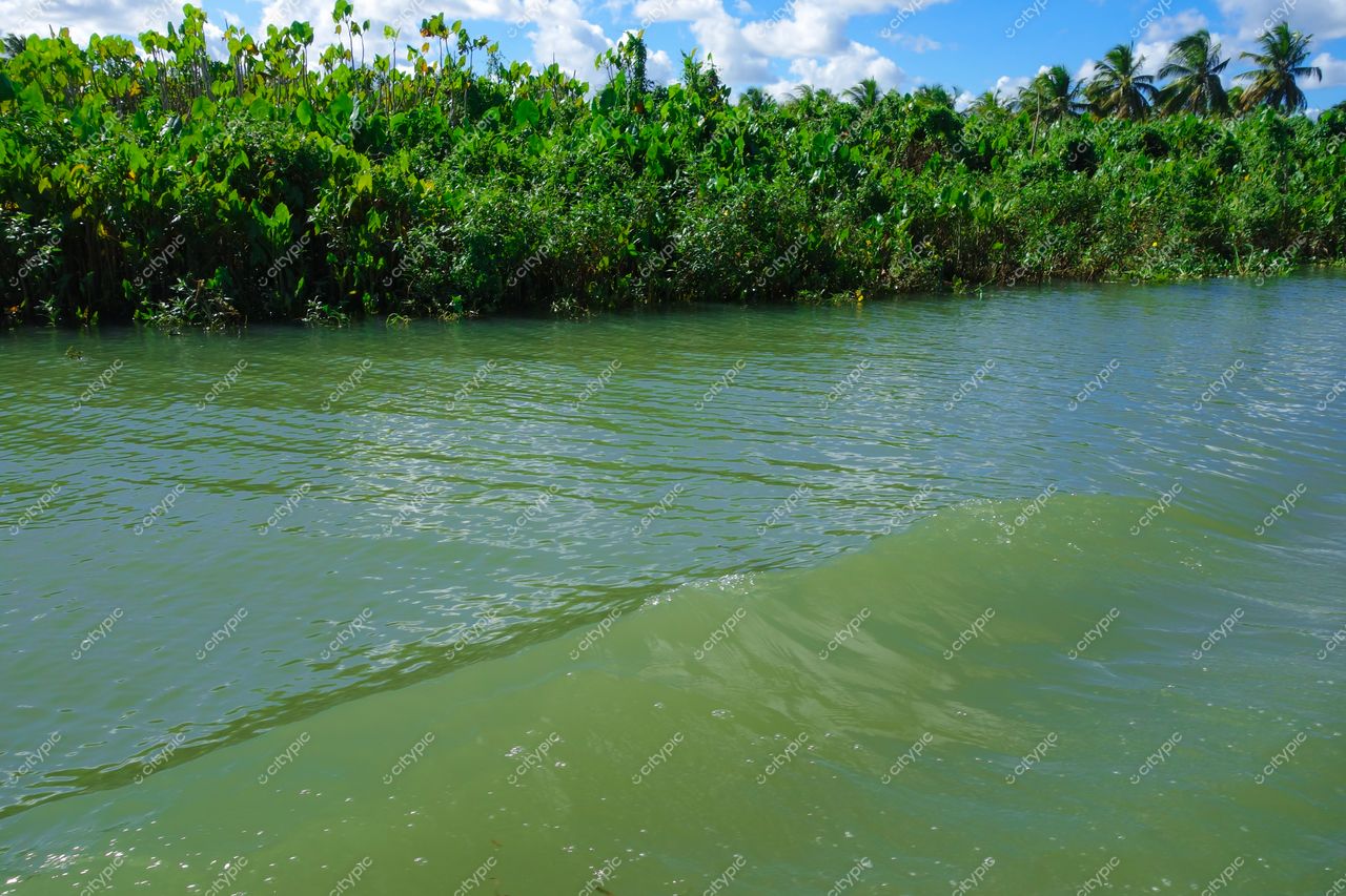 Brejo Grande, Sergipe, paisagem natural com água verde esmeralda refletindo vegetação tropical sob céu parcialmente nublado