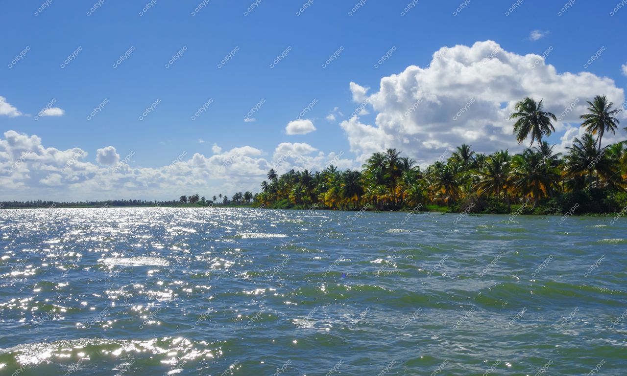 Brejo Grande, Sergipe, paisagem serena com palmeiras verdes e reflexos na água sob céu azul e nuvens brancas