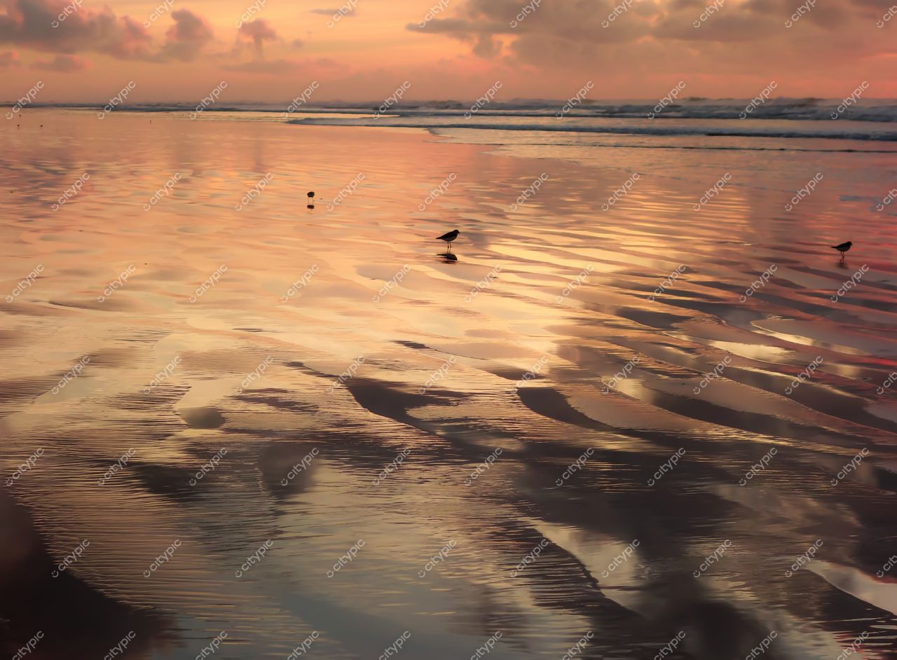 Aracaju, Sergipe, orla tranquila ao crepúsculo com reflexos suaves e pássaros na costa da praia