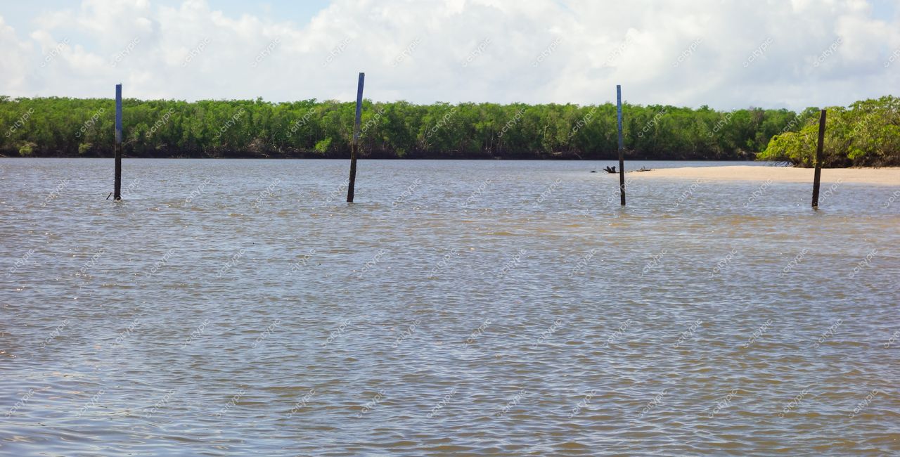 Aracaju, Sergipe, postes de madeira emergindo da água em área pantanosa com vegetação densa e céu nublado
