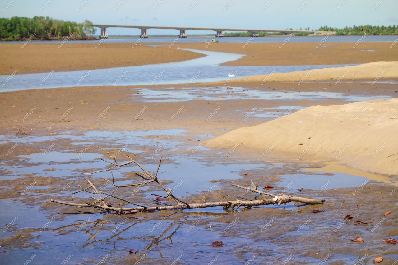 Aracaju, Sergipe vista ribeirinha com galho seco em solo arenoso e ponte ao fundo sob céu claro
