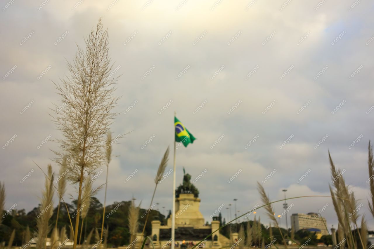 São Paulo, São Paulo, vegetação de grama alta em primeiro plano com monumento e bandeira do Brasil ao fundo sob céu nublado
