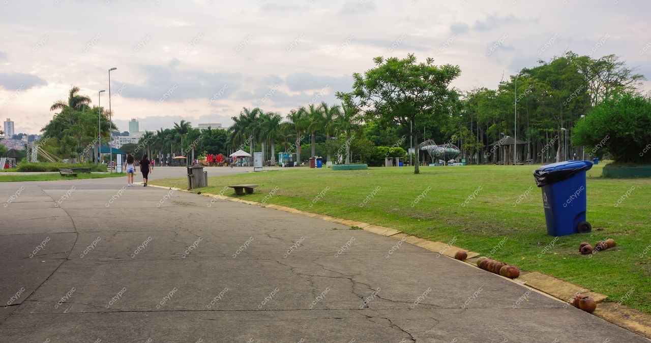 São Paulo, São Paulo, parque urbano em dia nublado com caminho de concreto e vegetação densa ao crepúsculo