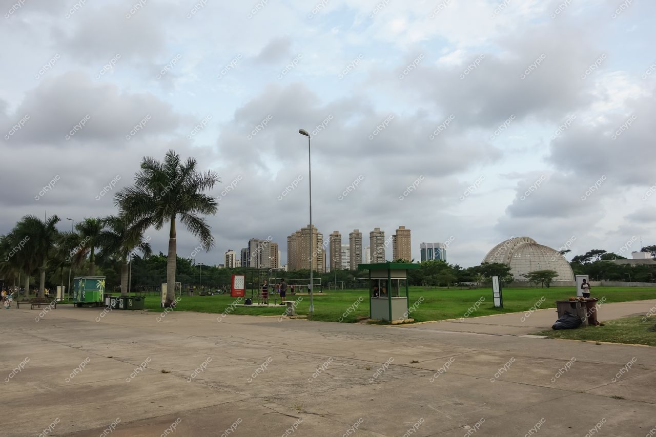 São Paulo, São Paulo, parque urbano em dia nublado com gramado verde, palmeiras e prédios altos ao fundo