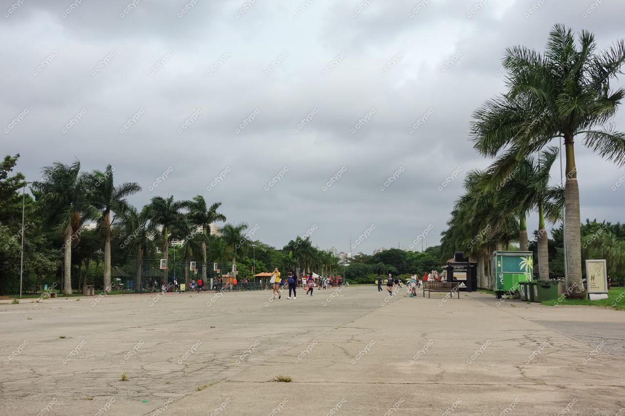 São Paulo, São Paulo, dia nublado com palmeiras e pessoas em área urbana com pavimento desgastado e lixeiras