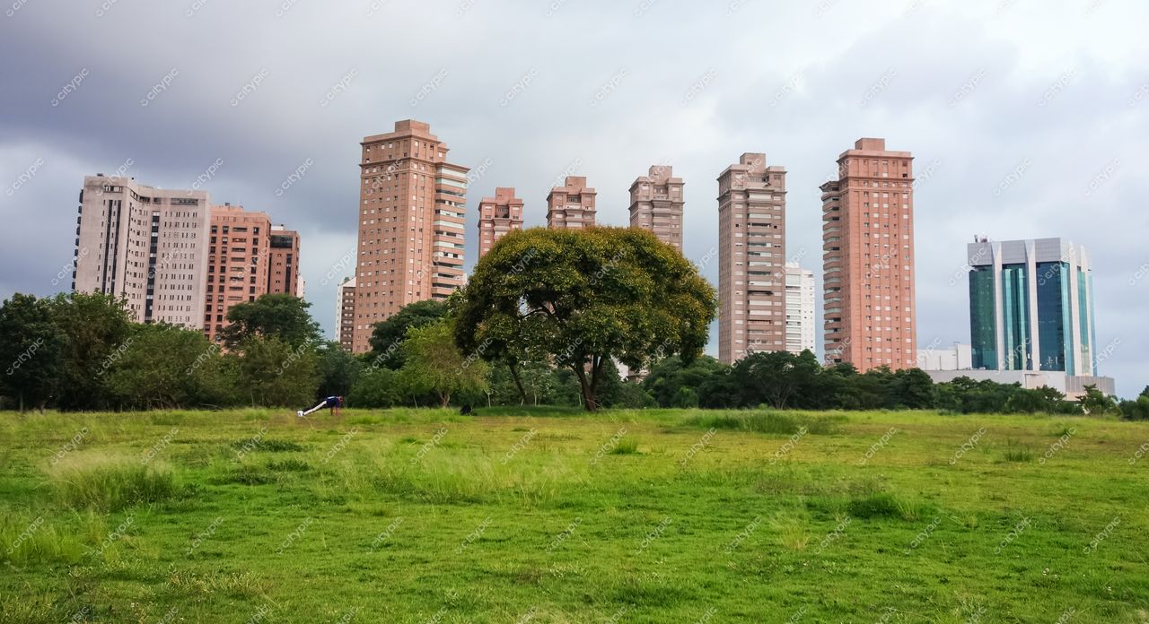São Paulo, São Paulo, parque urbano com grama alta e árvore frondosa sob céu nublado e edifícios modernos ao fundo