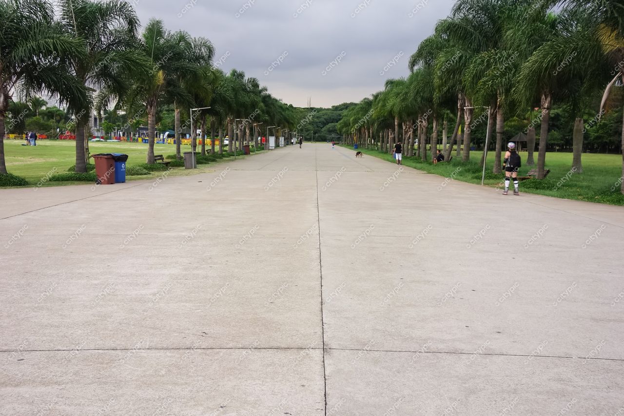 São Paulo, São Paulo, calçada em parque com palmeiras alinhadas e iluminação suave em dia nublado com pessoas