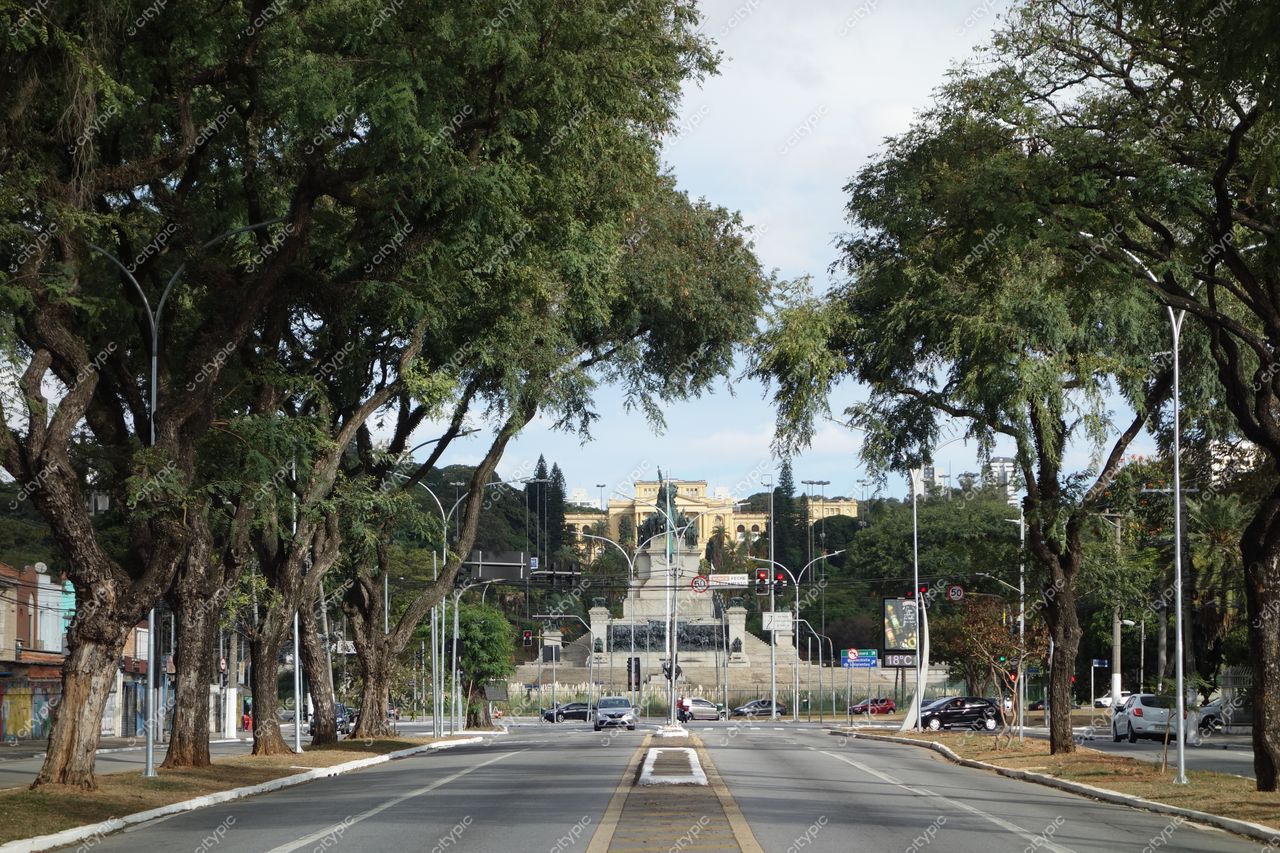 São Paulo, São Paulo, rua arborizada com monumento histórico ao fundo em dia ensolarado e tráfego leve