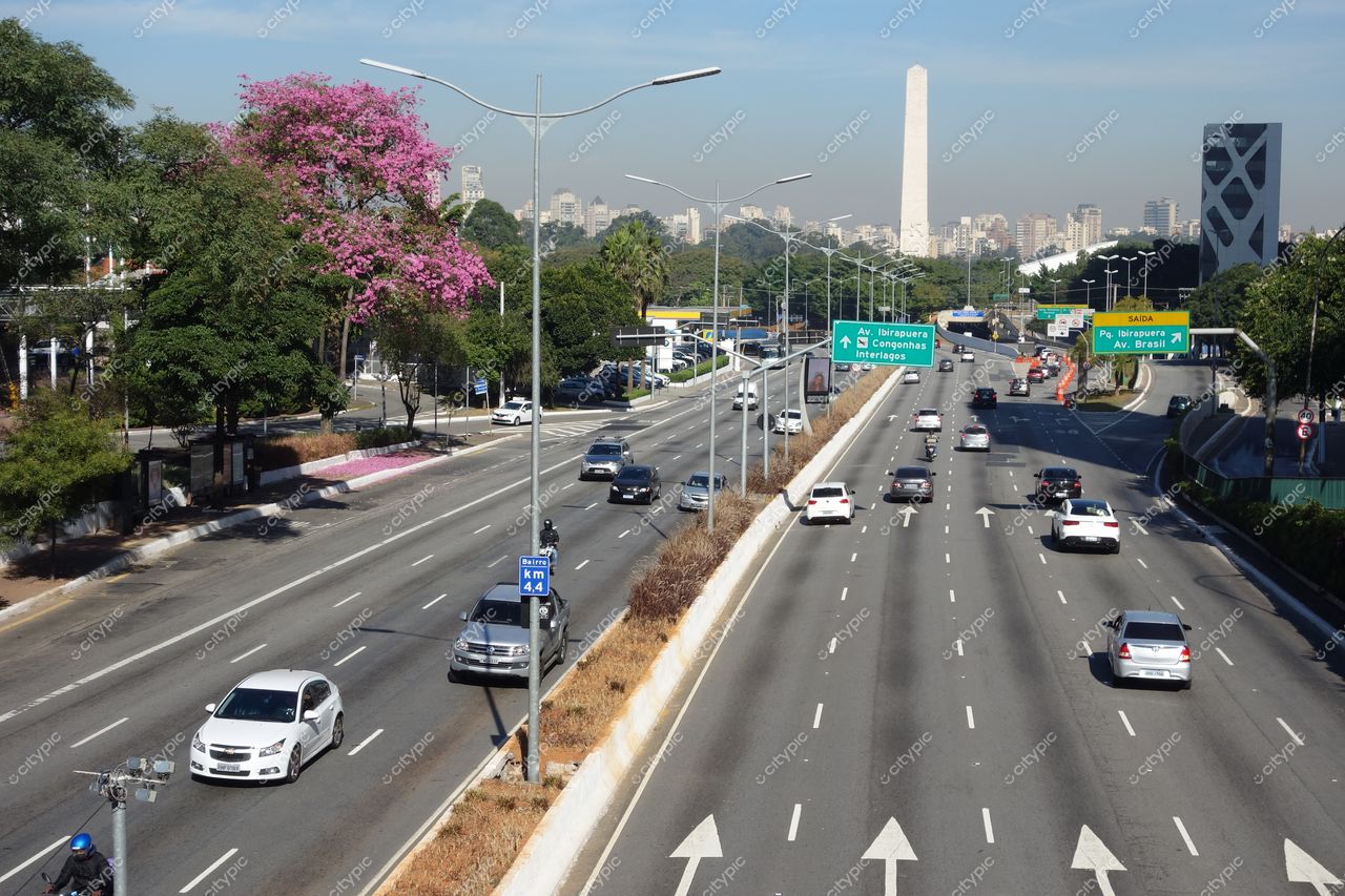 São Paulo, São Paulo, Avenida Ibirapuera com árvores floridas e arquitetura moderna em dia ensolarado e tráfego intenso