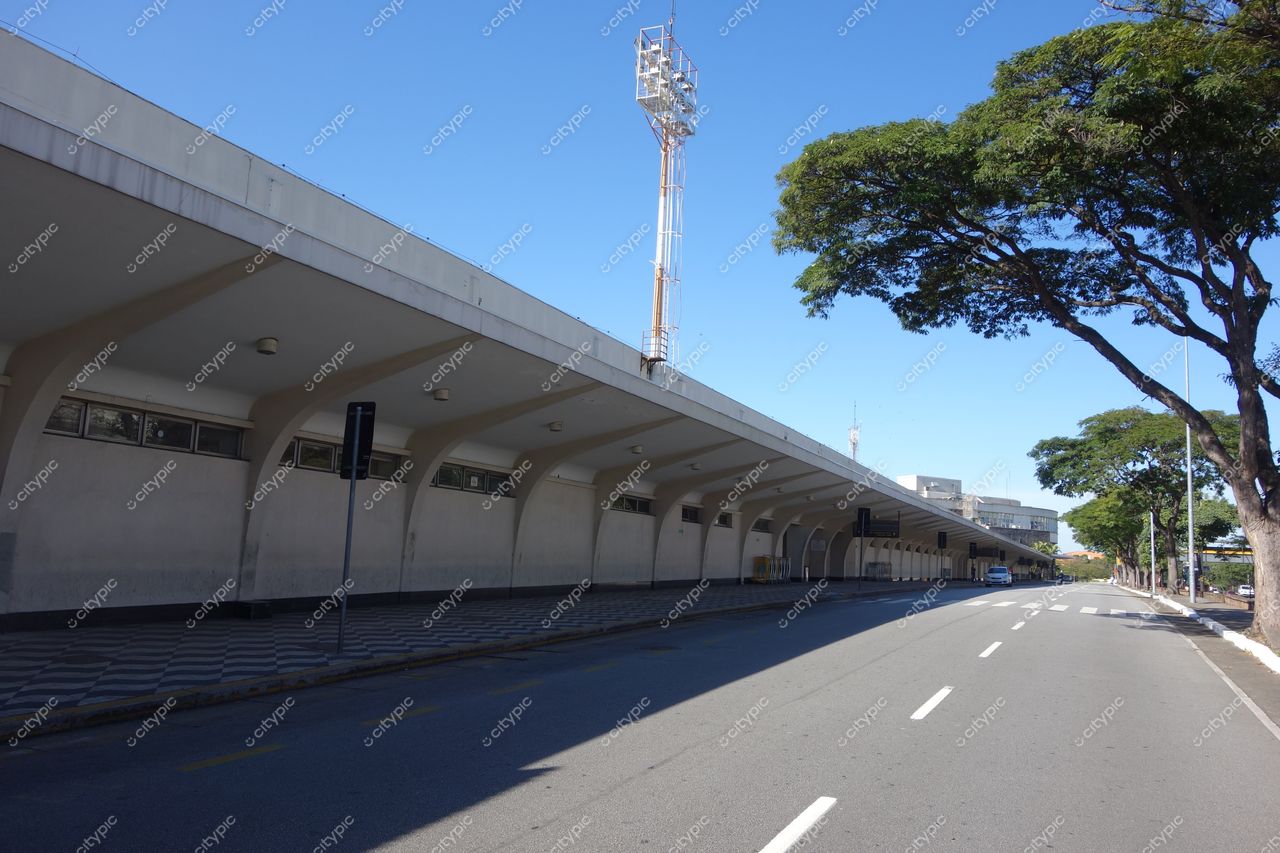 São Paulo, São Paulo, avenida ampla com edifício moderno ao fundo e árvores altas à esquerda em dia ensolarado