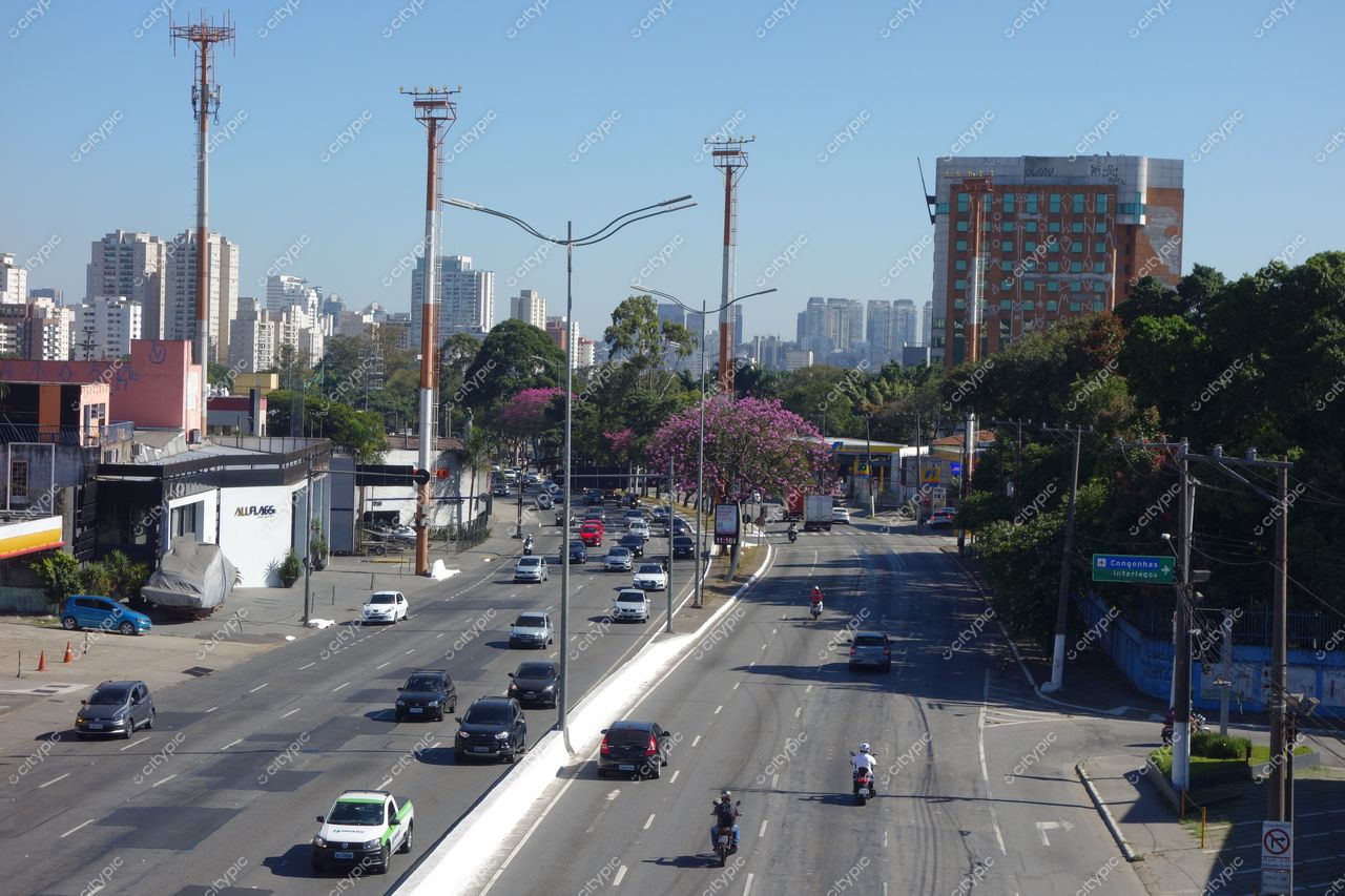 São Paulo, São Paulo, vista de avenida ensolarada com edifícios ao fundo e vegetação com flores rosas à direita