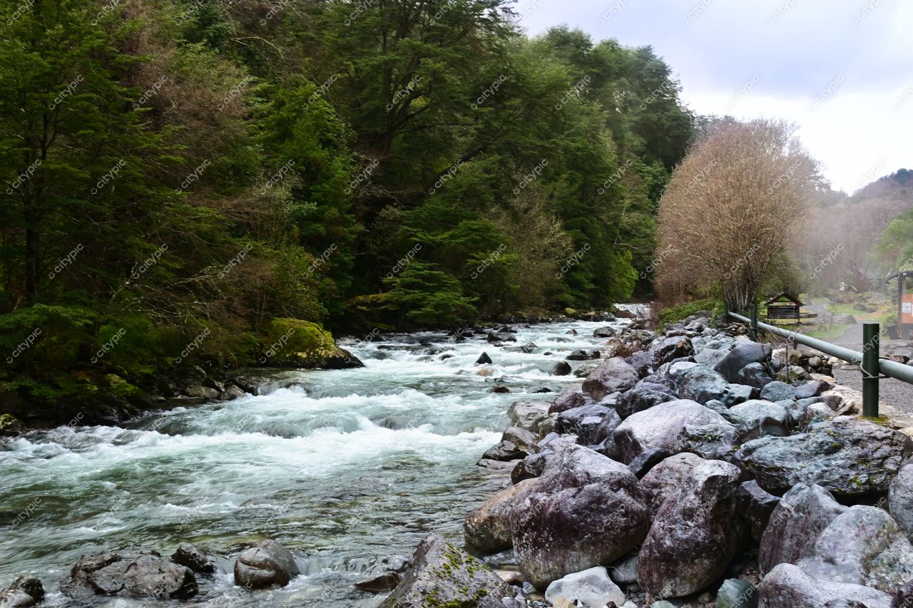 Rio com correnteza suave cercado por vegetação densa e pedras, em dia nublado com transição sazonal visível