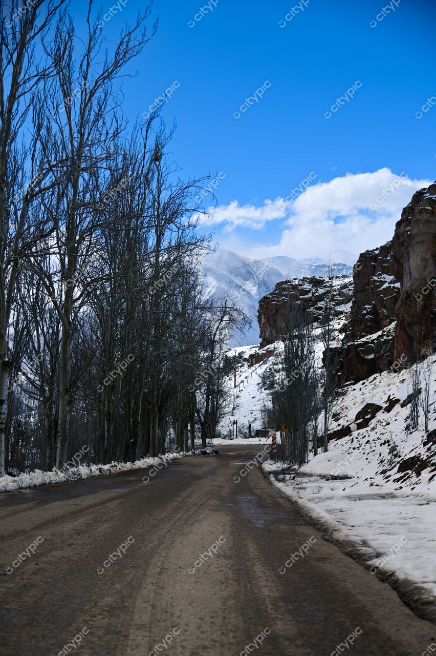 Estrada sinuosa em ambiente invernal com árvores esqueléticas e montanhas nevadas sob céu azul claro