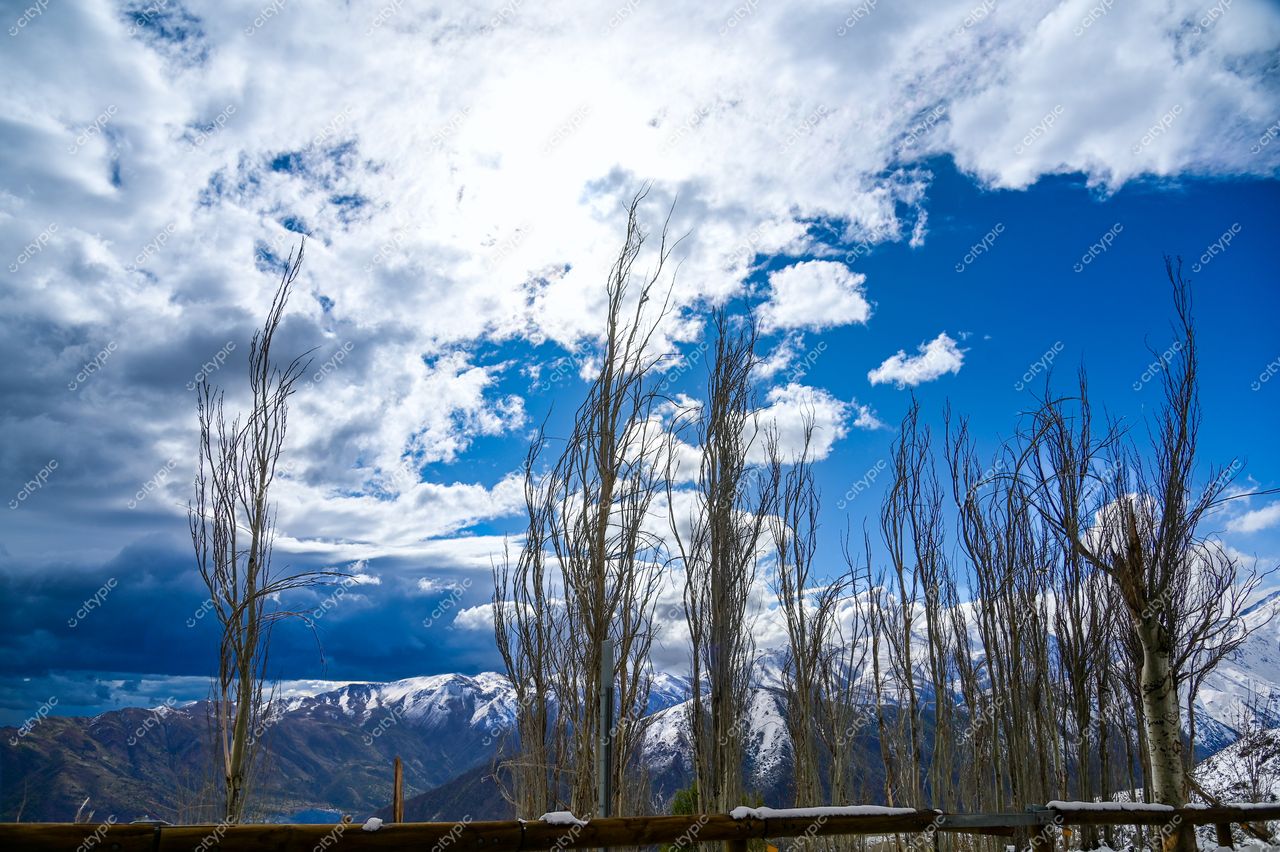 Cenário montanhoso com árvores altas sob céu parcialmente nublado e montanhas nevadas ao fundo durante o dia