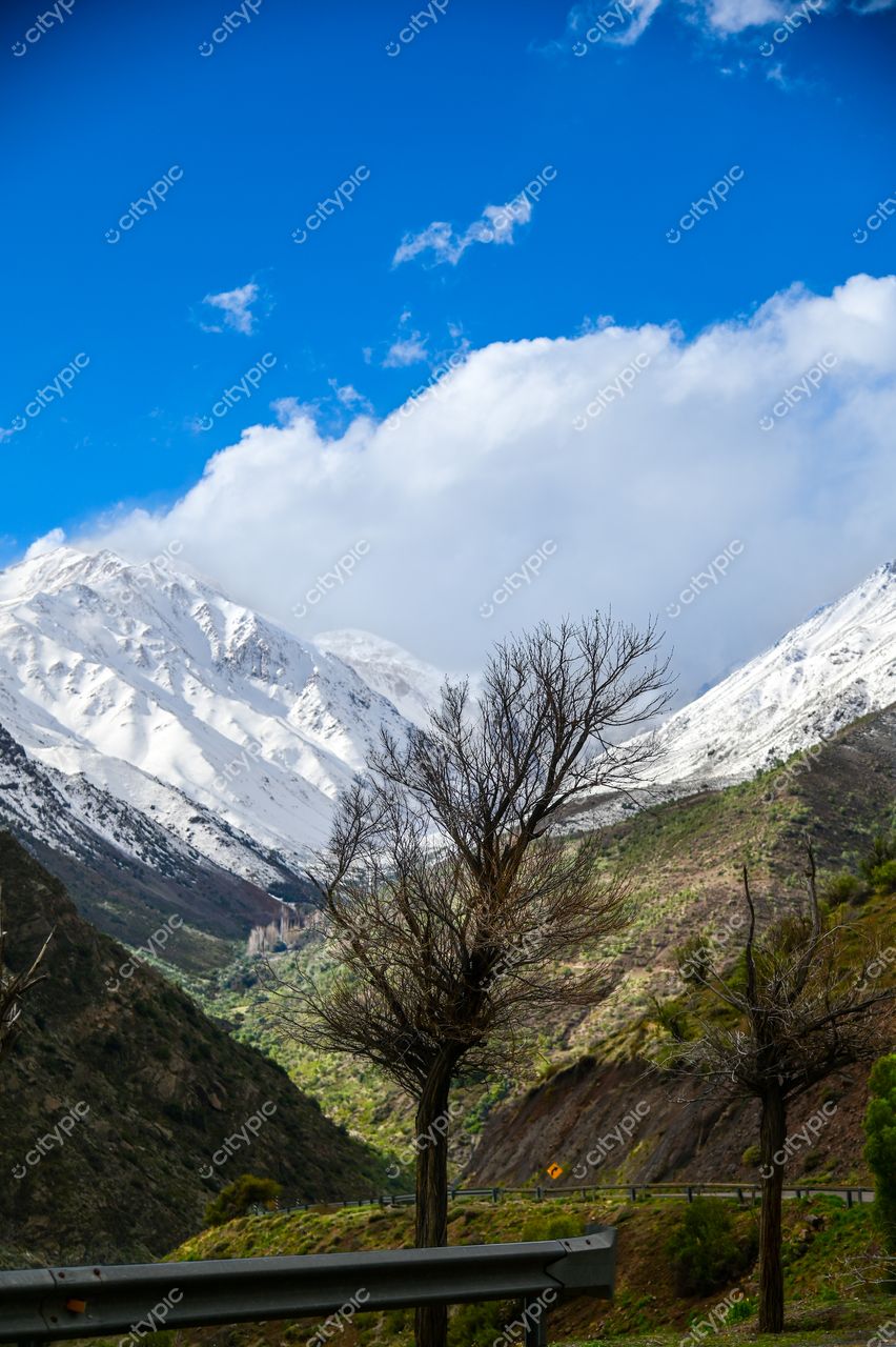 Montanhas nevadas sob céu azul com nuvens e estrada ladeada por árvores esqueléticas em clima ameno