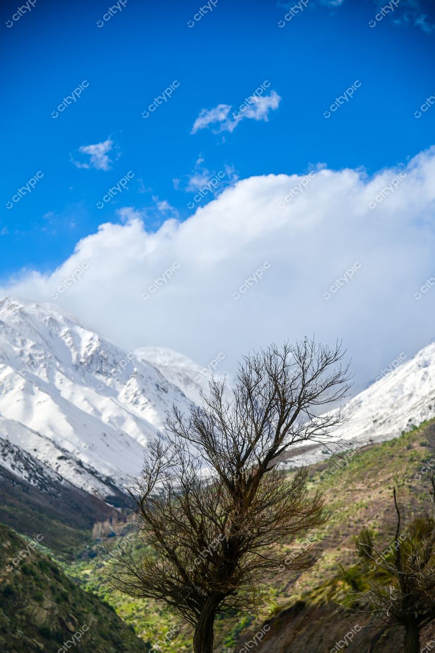 Paisagem montanhosa com picos nevados e céu azul, destacando árvore sem folhas em terreno acidentado