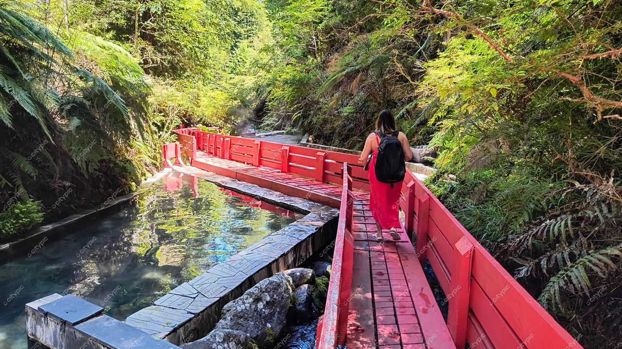 Passarela de madeira vermelha ao longo de riacho com mulher caminhando em dia ensolarado e vegetação densa
