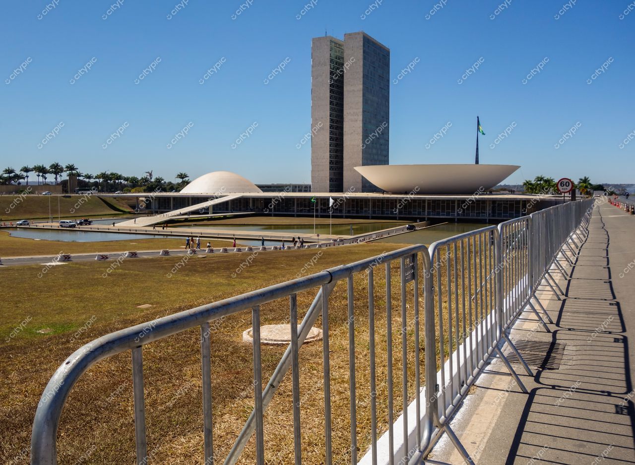 Congresso Nacional em Brasília com céu azul, vegetação rasteira, espelho d’água e palmeiras ao fundo